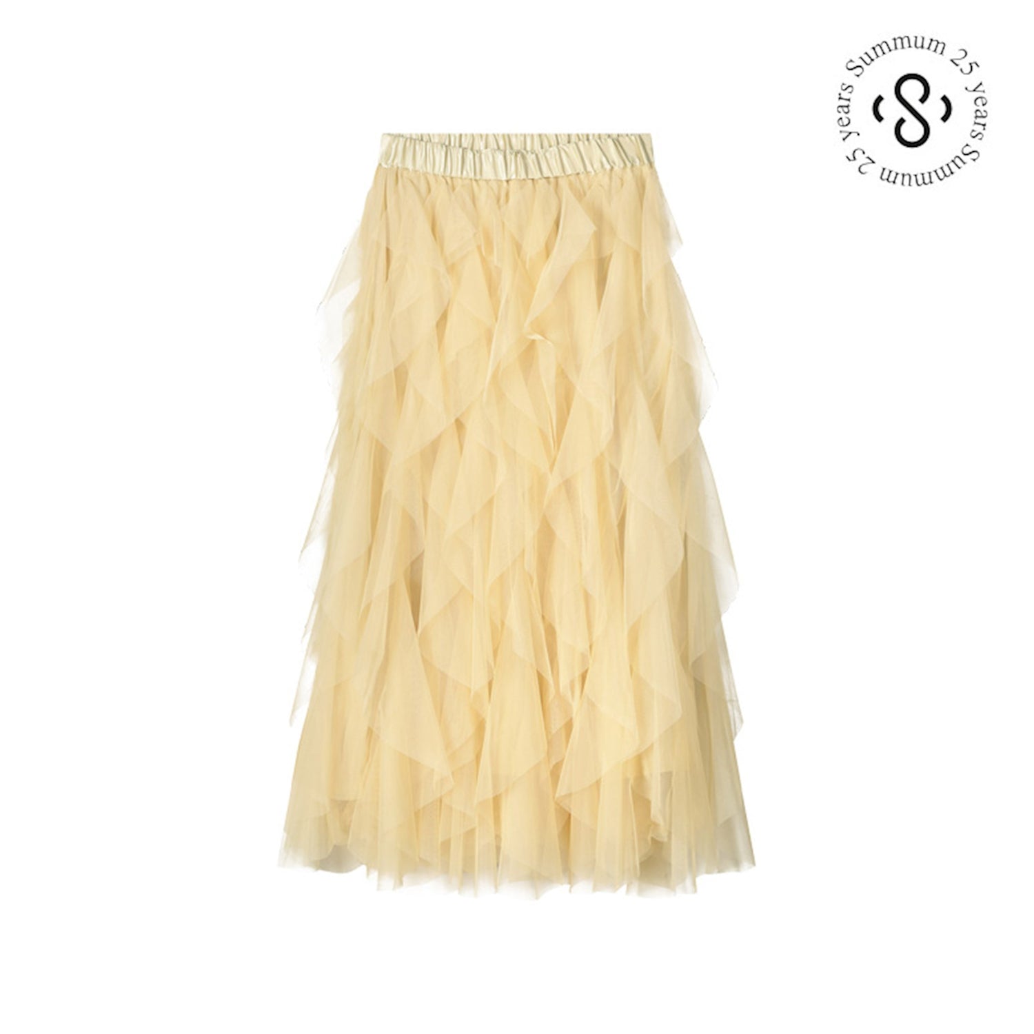 Pleated Tulle Skirt