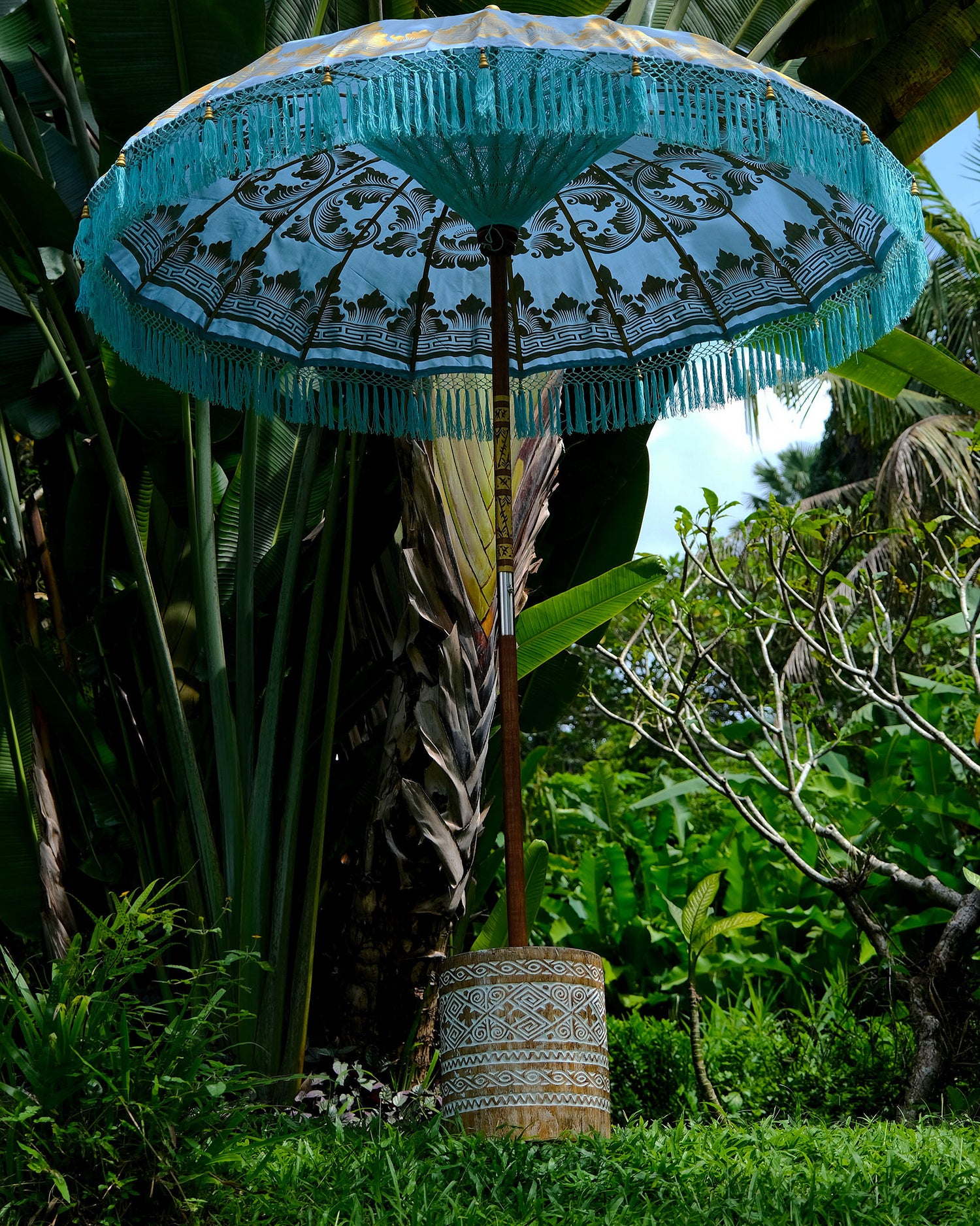 Manggis Parasol