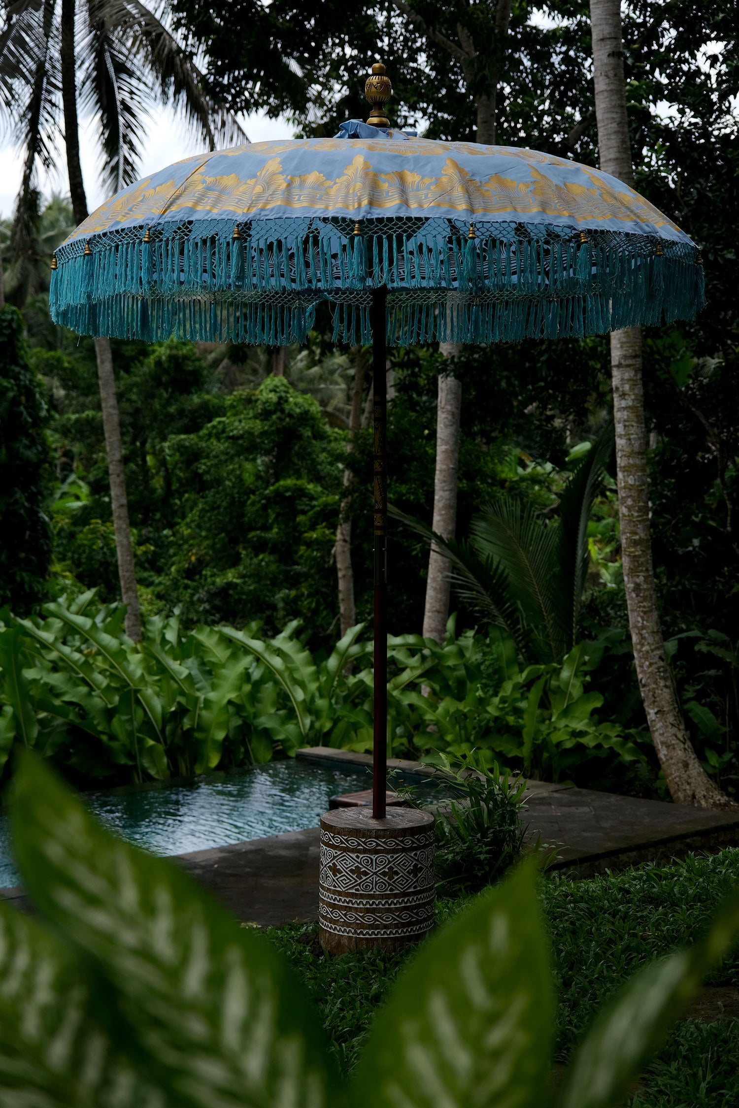 Manggis Parasol