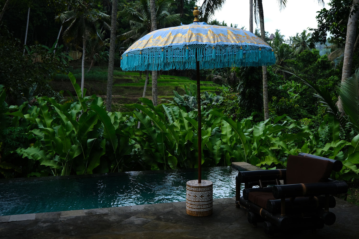 Manggis Parasol