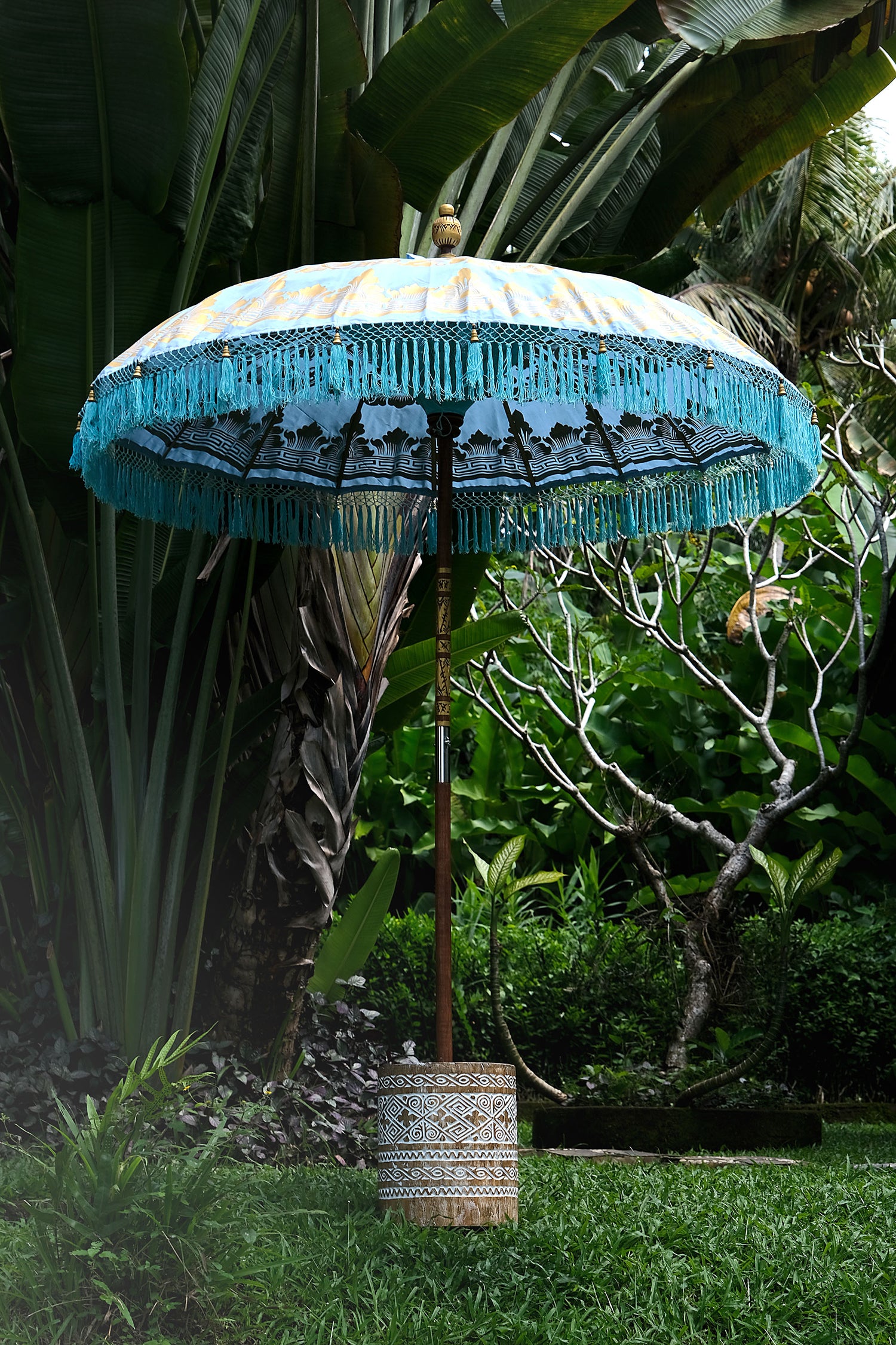 Manggis Parasol