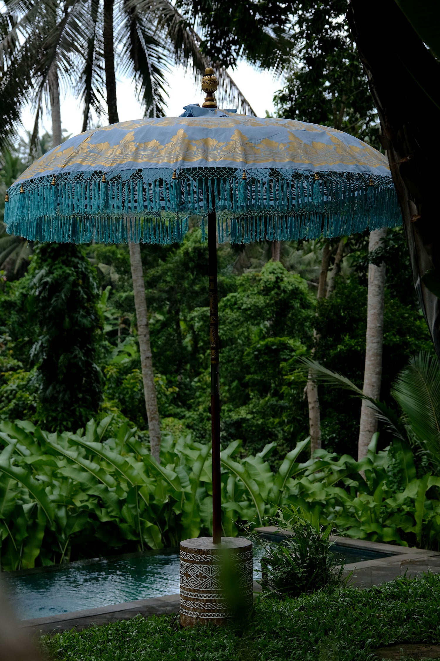 Manggis Parasol