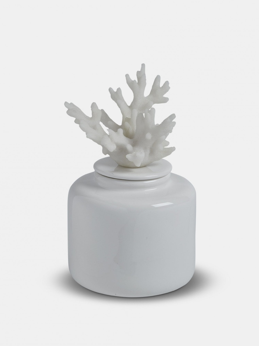 White Porcelain  Coral Jar