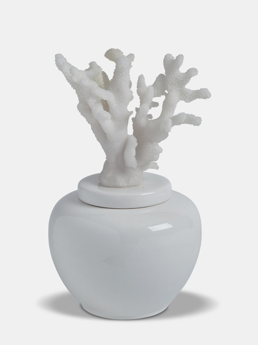 White Porcelain Coral Jar - Round