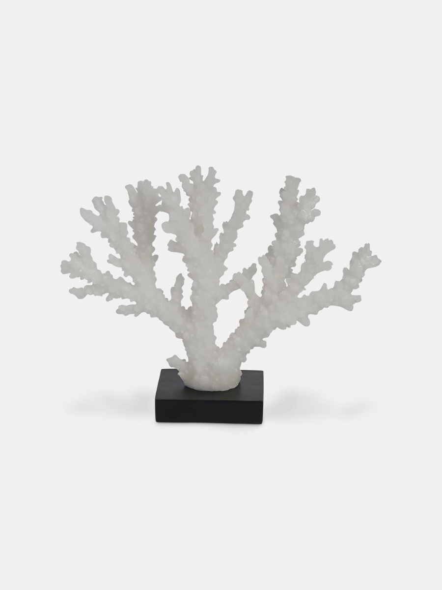 White Coral on Stand - Small