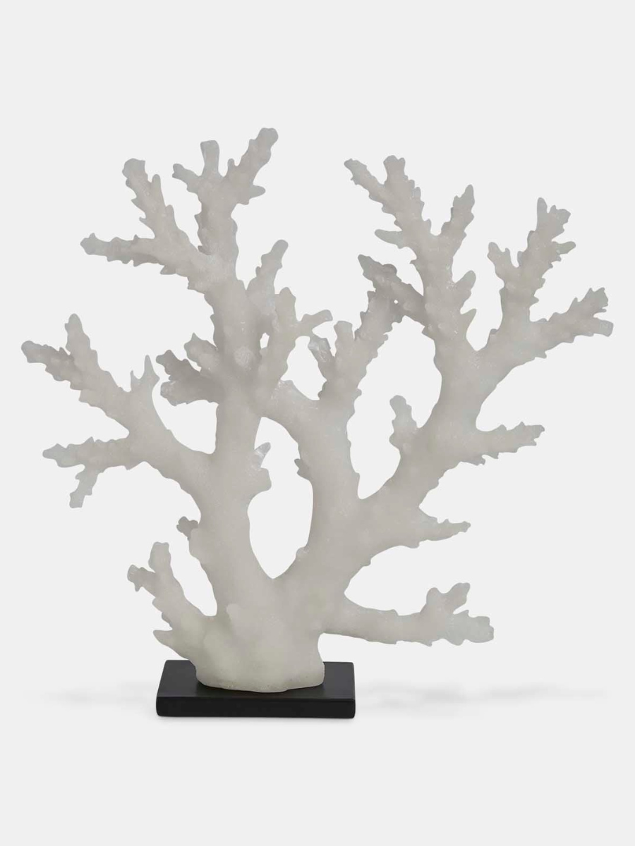 White Coral on Stand -Large