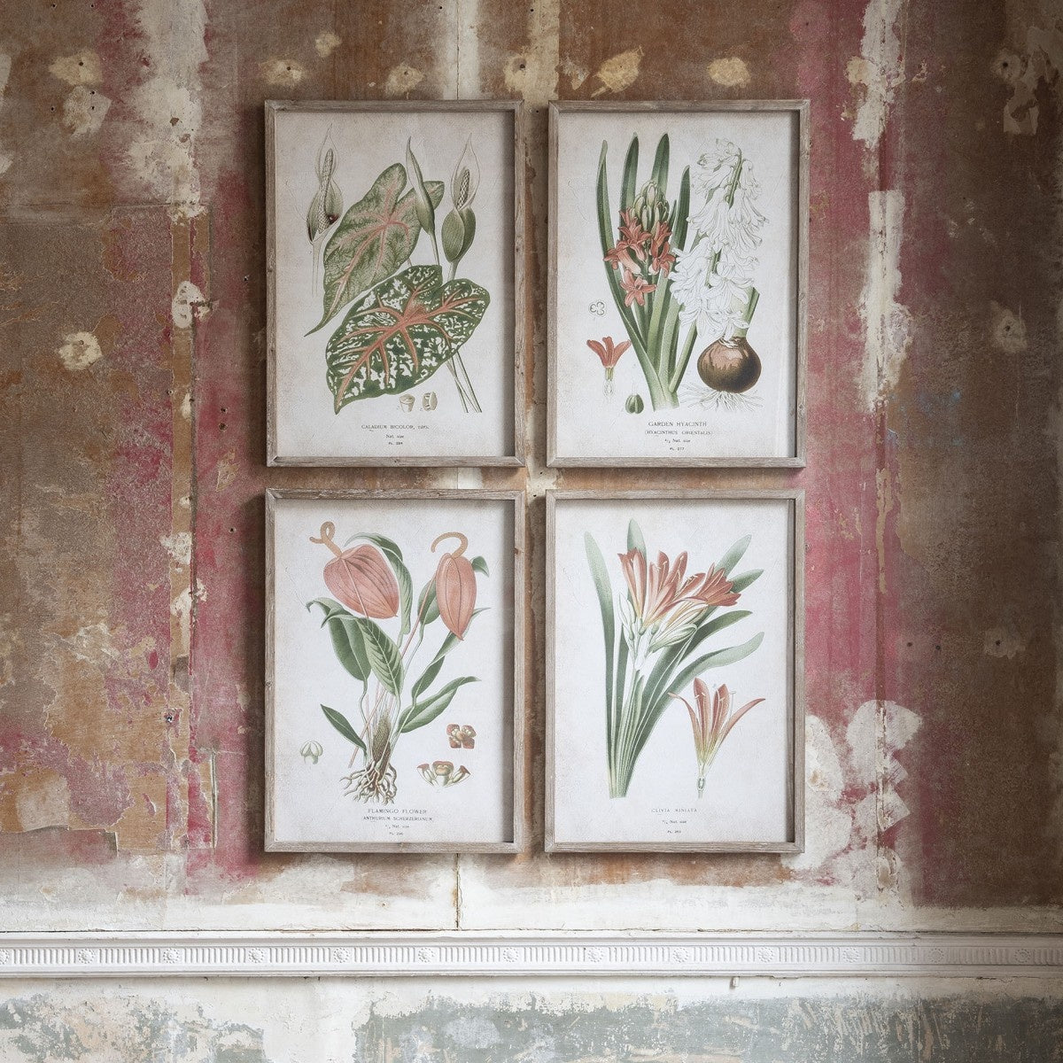 Brookby Set of 4 Red Botanical Wall Art